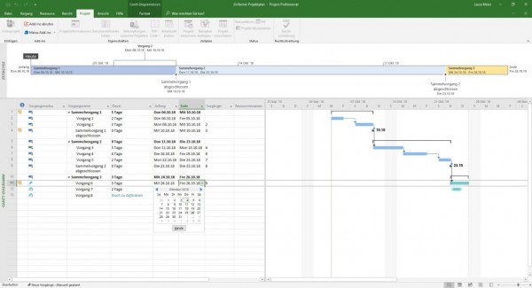 Microsoft Project 2021 Standard Windows